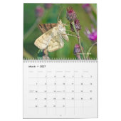 Calendrier - Joyaux de l'air (Mar 2027)