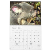 Calendrier junior de koala (Feb 2026)