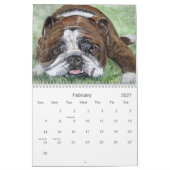 Calendrier Juste bouledogues (Feb 2027)