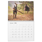 Calendrier Juste des bergers (Jan 2026)