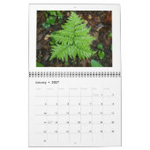 Calendrier - Juste des fougères (Jan 2027)