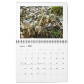 Calendrier - Juste des fougères (Mar 2027)