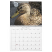 Calendrier juste sombre (Jan 2026)