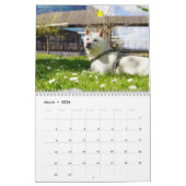 Calendrier Kaki-Maru 2025 (Mar 2026)