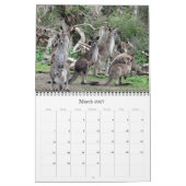 Calendrier kangourous australiens 2026 (Mar 2027)