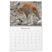 Calendrier kangourous australiens 2026 (Feb 2027)