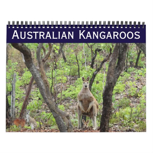 Calendrier kangourous australiens 2026 (Protection)