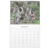 Calendrier kangourous wallabies 2026 (Mar 2027)