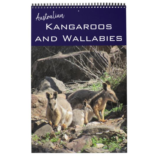 Calendrier kangourous wallabies 2027 (Protection)