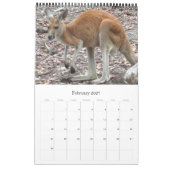 Calendrier kangourous wallabies 2027 (Feb 2027)
