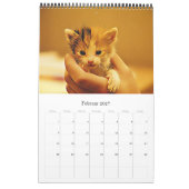 Calendrier KÄTZCHEN KATZEN WELPEN - Kalender (Feb 2027)