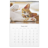 Calendrier KÄTZCHEN KATZEN WELPEN - Kalender (Jan 2027)