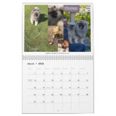 Calendrier Keeshond 2021 (Mar 2026)