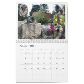 Calendrier Keeshond 2021 (Feb 2026)