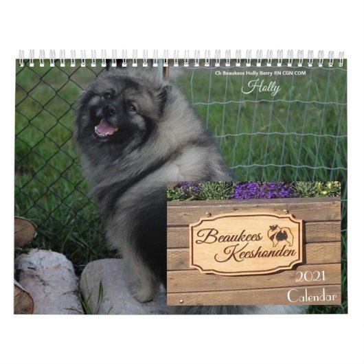 Calendrier Keeshond 2021 (Protection)