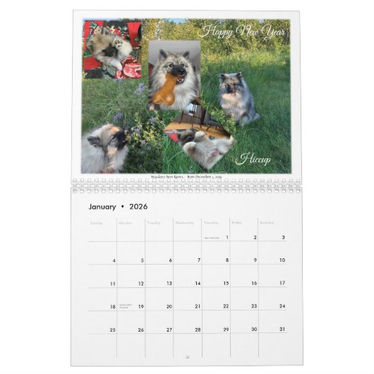 Calendrier Keeshond 2021 (Jan 2026)