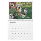 Calendrier Keeshond 2021 (Jan 2027)