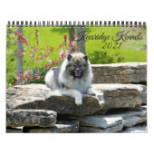 Calendrier Keesridge Kennels 2021 (Protection)