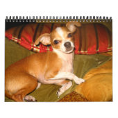 calendrier kiko (Protection)