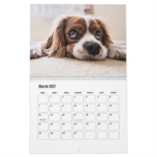 Calendrier King Charles Spaniel (Mar 2027)