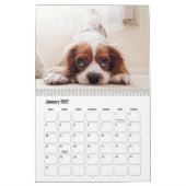 Calendrier King Charles Spaniel (Jan 2027)