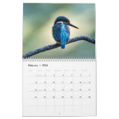 Calendrier Kingfisher 2025 (Feb 2026)