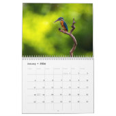 Calendrier Kingfisher 2025 (Jan 2026)