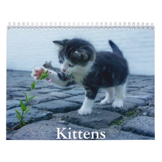 Calendrier Kitten (Protection)