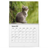 Calendrier Kitten (Feb 2027)