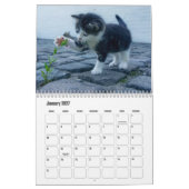 Calendrier Kitten (Jan 2027)
