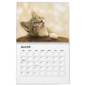 Calendrier Kitten (Mar 2026)