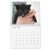 Calendrier Kitten noir (Jan 2027)