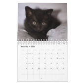 Calendrier Kitten noir (Feb 2026)