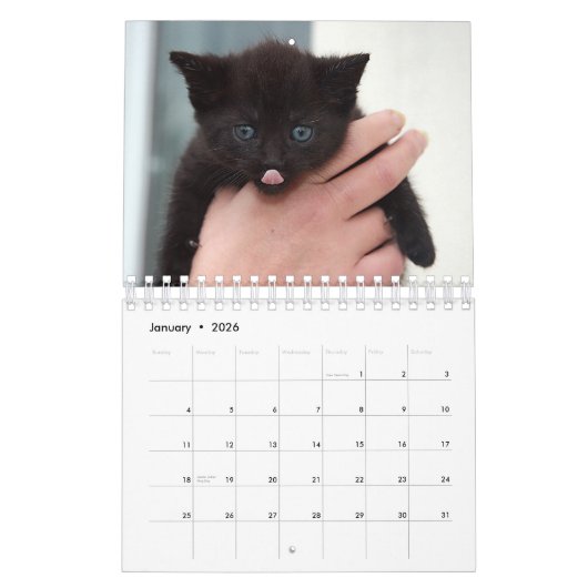 Calendrier Kitten noir (Jan 2026)