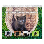 Calendrier Kitten noir (Protection)