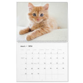 Calendrier Kittens (Mar 2026)