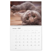 Calendrier Kittens (Jan 2027)