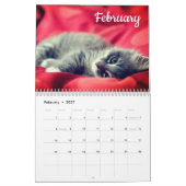 Calendrier Kittens 2026 (Feb 2027)