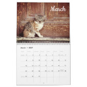 Calendrier Kittens 2026 (Mar 2027)