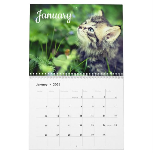 Calendrier Kittens 2026 (Jan 2026)