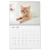 Calendrier Kittens 2026 Calendar (Mar 2027)