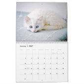 Calendrier Kittens 2026 Calendar (Jan 2027)