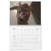 calendrier kittty (Mar 2026)