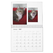 Calendrier Kitty Cats (Jan 2027)