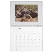 Calendrier KMP Meerkats - 2020 (Jan 2027)