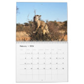 Calendrier KMP Meerkats - 2020 (Feb 2026)