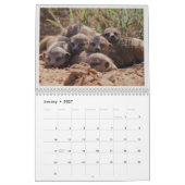 Calendrier KMP Meerkats - 2020 (Jan 2027)