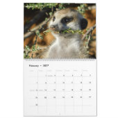 Calendrier KMP Meerkats 2022 (Feb 2027)