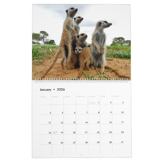 Calendrier KMP Meerkats 2022 (Jan 2026)