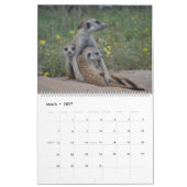 Calendrier KMP Meerkats 2022 (Mar 2027)